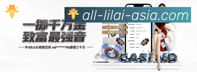 未来规划